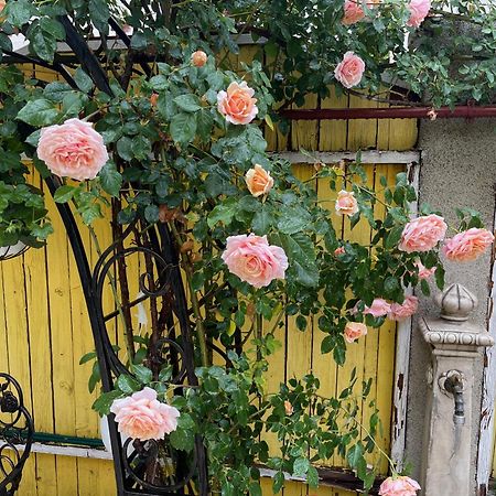 Charming Apartment in Villa near Airport Bucarest Esterno foto